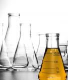 �Ǳ����(ȼ���ͣ�